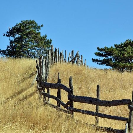 Апартаменти Sedmica Zlatibor Vip Bogic Екстер'єр фото