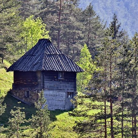 Апартаменти Sedmica Zlatibor Vip Bogic Екстер'єр фото