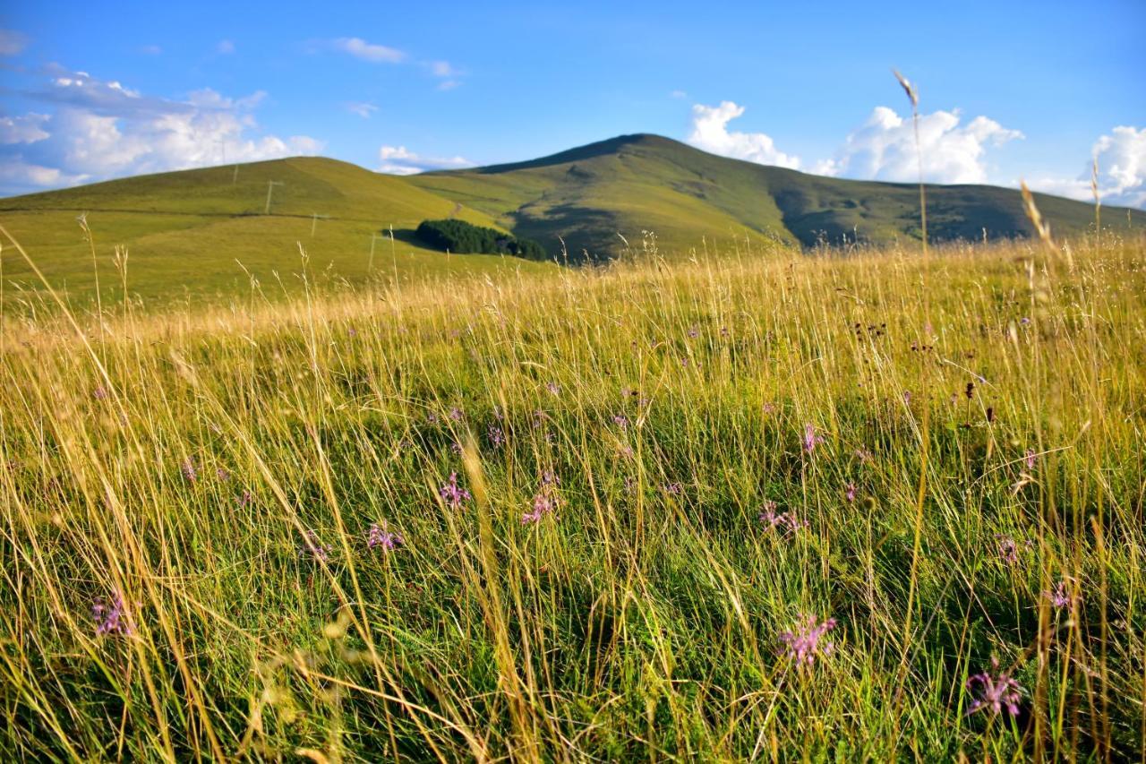 Апартаменти Sedmica Zlatibor Vip Bogic Екстер'єр фото