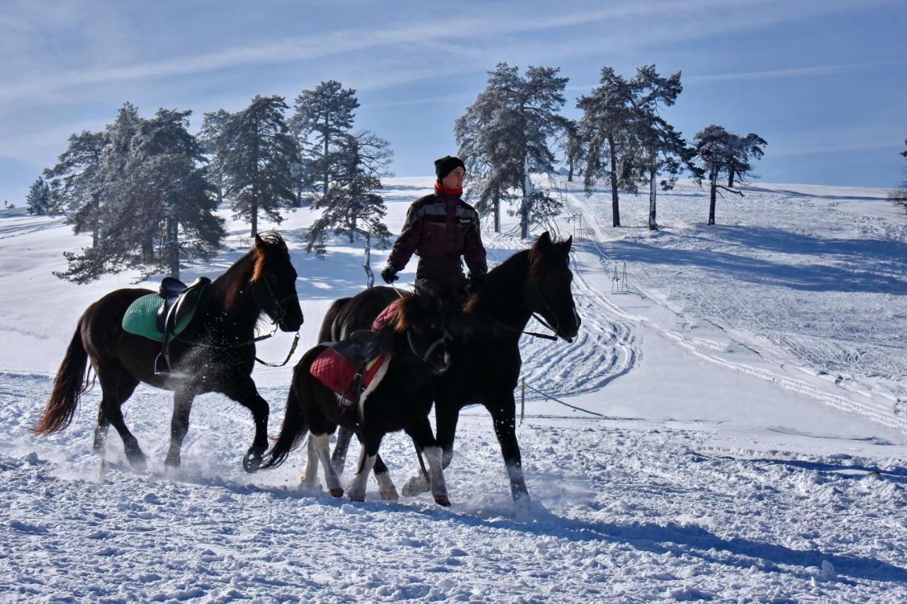 Апартаменти Sedmica Zlatibor Vip Bogic Екстер'єр фото