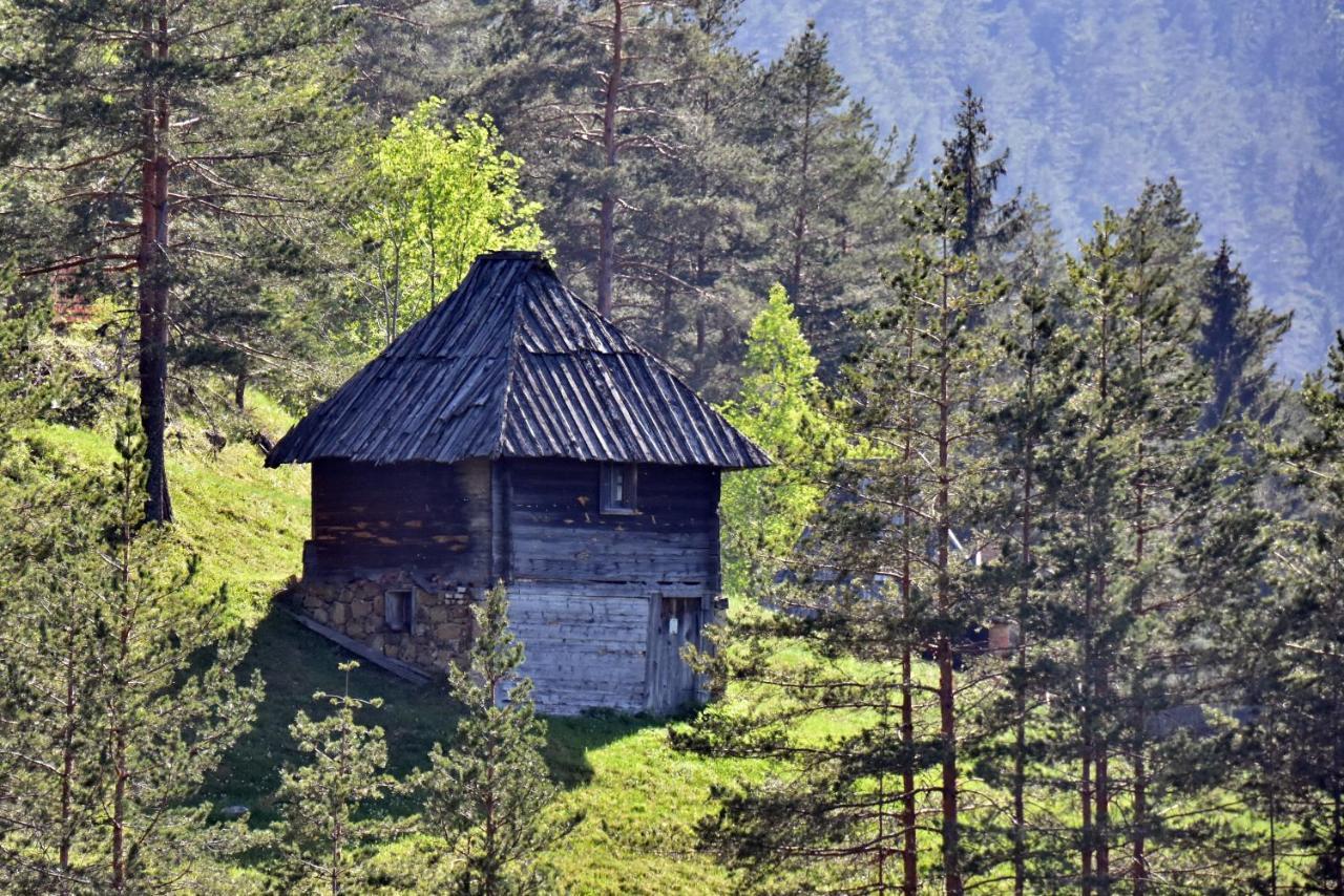 Апартаменти Sedmica Zlatibor Vip Bogic Екстер'єр фото