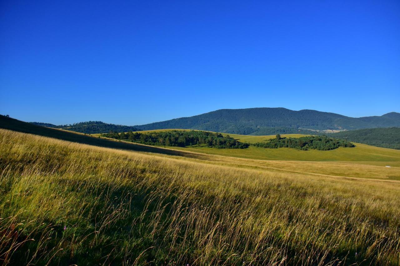 Апартаменти Sedmica Zlatibor Vip Bogic Екстер'єр фото